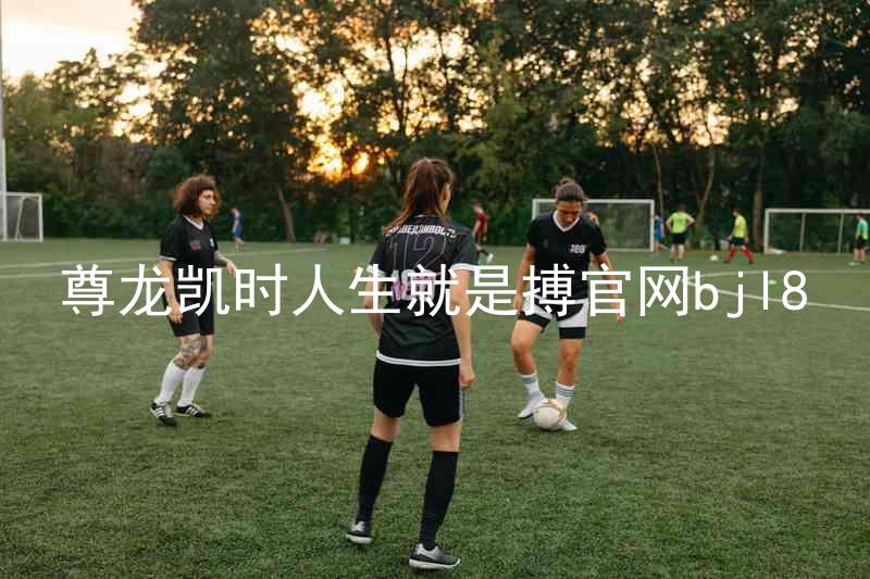 尊龙凯时人生就是搏官网bjl8
