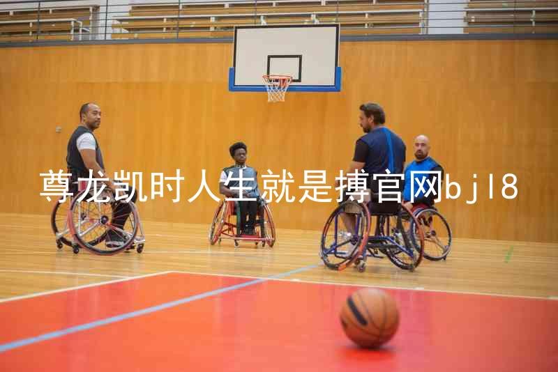 尊龙凯时人生就是搏官网bjl8