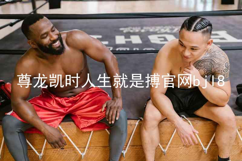 尊龙凯时人生就是搏官网bjl8